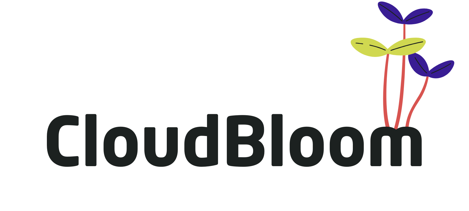 CloudBloomLogo